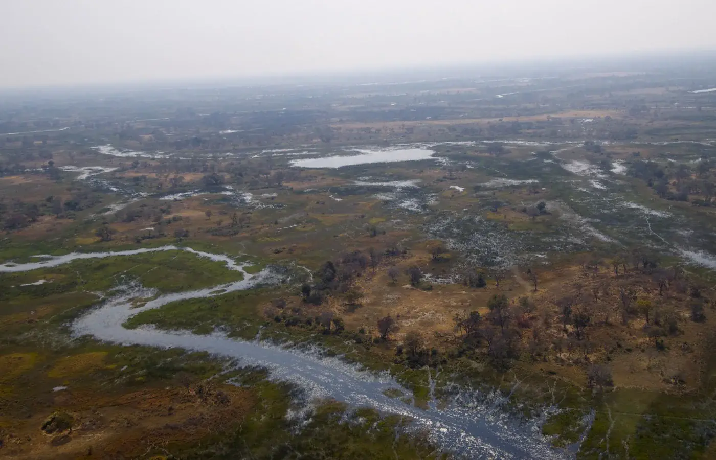 An aerial view of water channels and wooded islands across the Okavango Delta in Botswana.