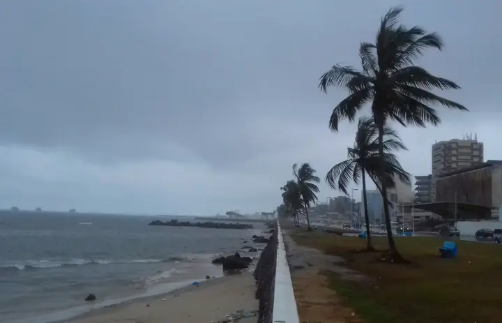 Palmiers et promenade en bord de mer à Libreville, Gabon, sous un ciel couvert
