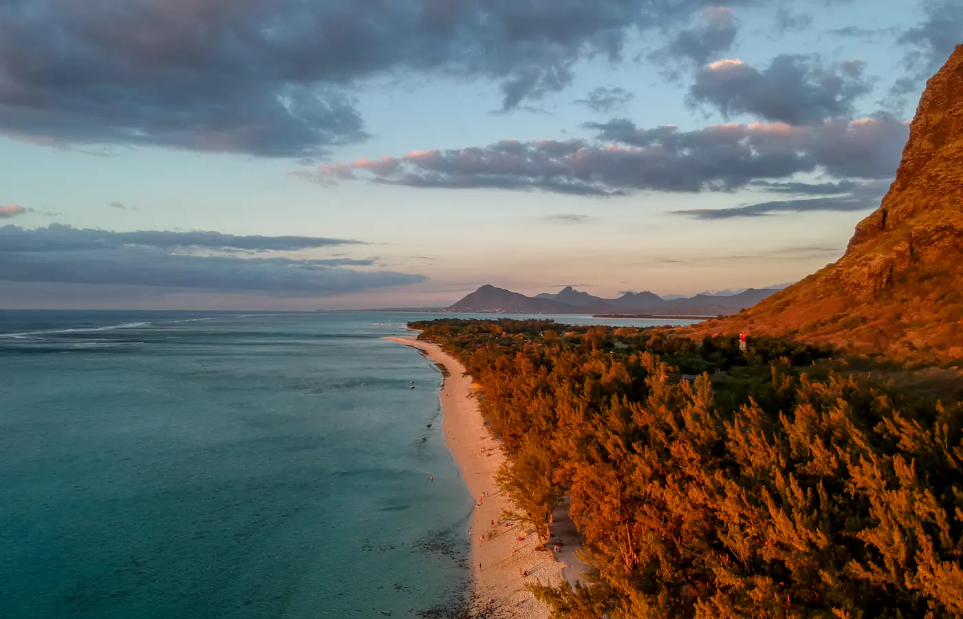 Zdjęcie lotnicze drzew, plaży i turkusowej wody w Le Morne na Mauritiusie.