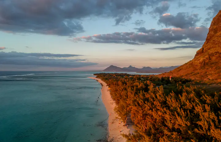 Zdjęcie lotnicze drzew, plaży i turkusowej wody w Le Morne na Mauritiusie.
