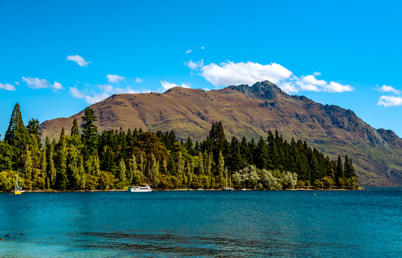 Blue lake water, wooded shoreline and mountains at Queenstown in New Zealand