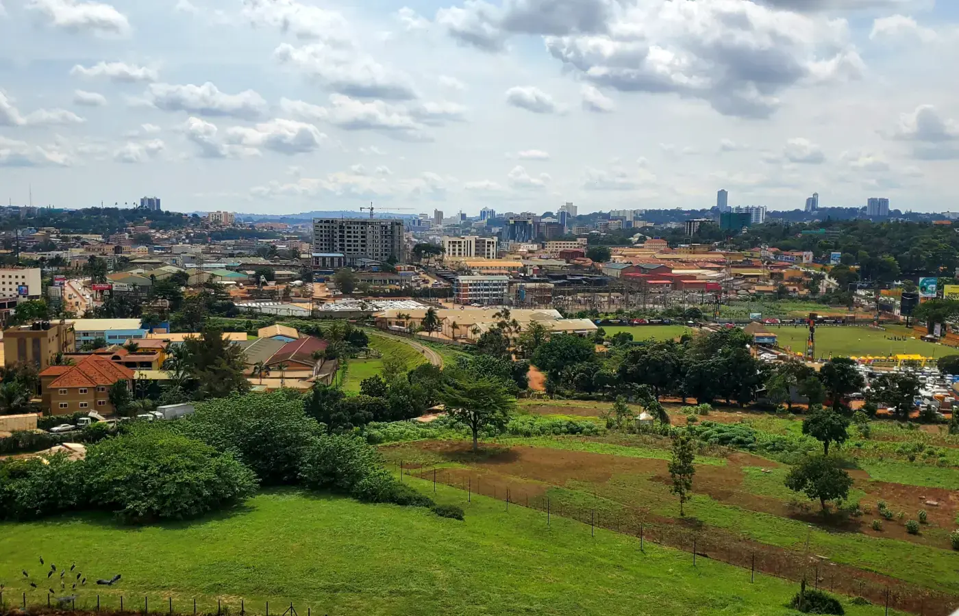 Zielone wzgórze przed panoramą Kampali, Uganda